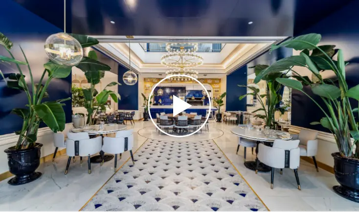 palude-restaurant-video-arkaplan